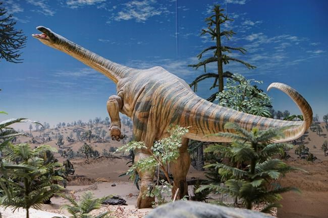 Some dinosaur migration was delayed by climate, study shows | iNFOnews.ca Some dinosaur migration was delayed by climate, study shows | iNFOnews.ca