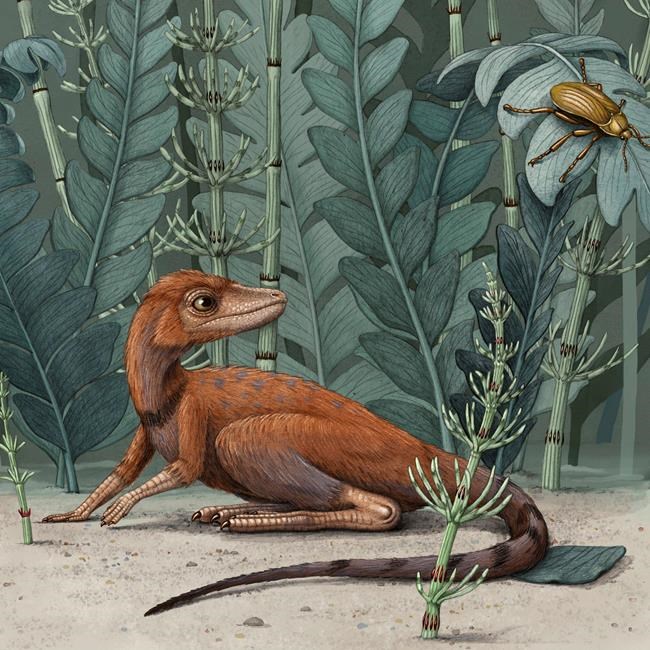 Fossils reveal dinosaur forerunner smaller than a cellphone | iNFOnews.ca