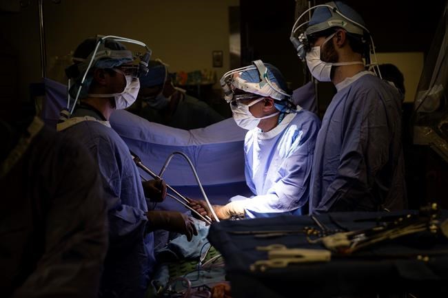 Study ties 'Obamacare' to fewer cancer deaths in some states | iNFOnews.ca Study ties 'Obamacare' to fewer cancer deaths in some states | iNFOnews.ca