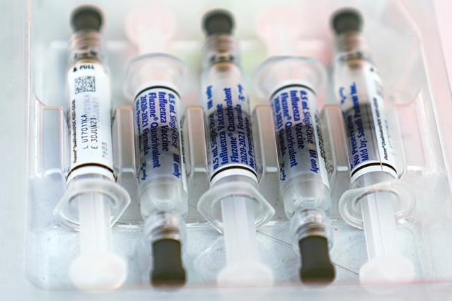 Amid COVID-19 pandemic, flu has disappeared in the US | iNFOnews.ca CP1737621520