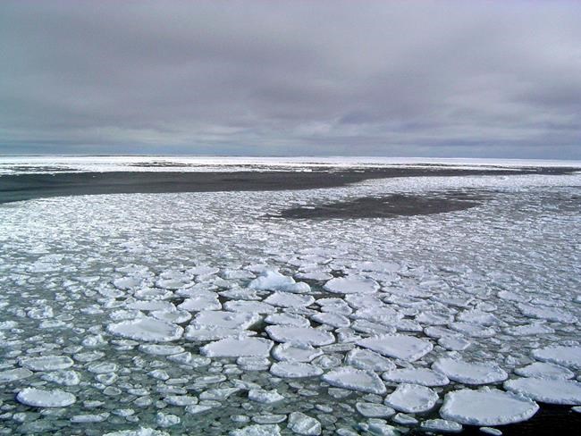 Floating Antarctic ice goes from record high to record lows | iNFOnews.ca