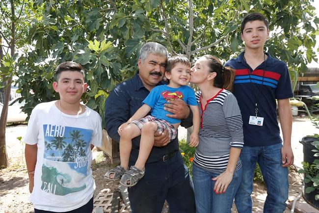 Trump's immigrant roundups increasingly net noncriminals | iNFOnews.ca