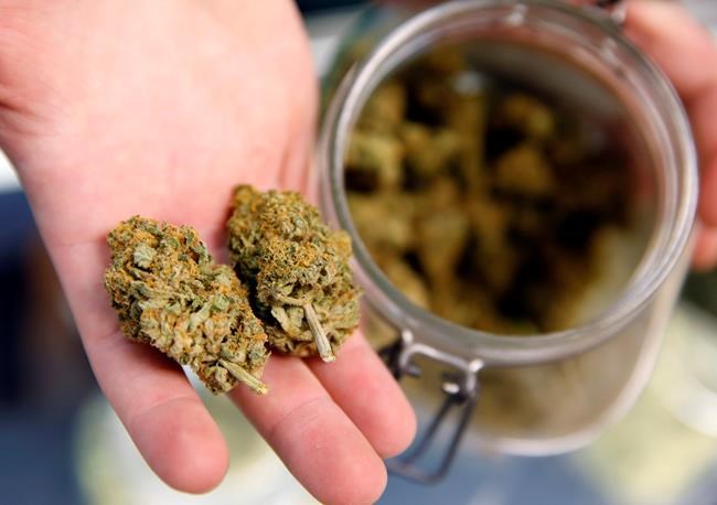 Marijuana use doubles in US pregnant women to 1 in 14 | iNFOnews.ca CP933527802