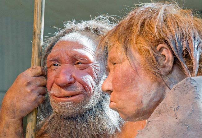 Stone Age cannibals: Hunting each other not worth the hassle | iNFOnews.ca