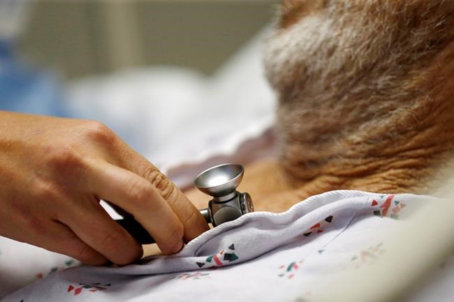 Shortening trainee doctor hours hasn't harmed patients | iNFOnews.ca CP993091099