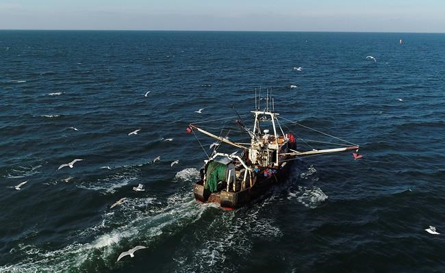 AP Investigation: Fish billed as local isn't always local | iNFOnews.ca CP843353686