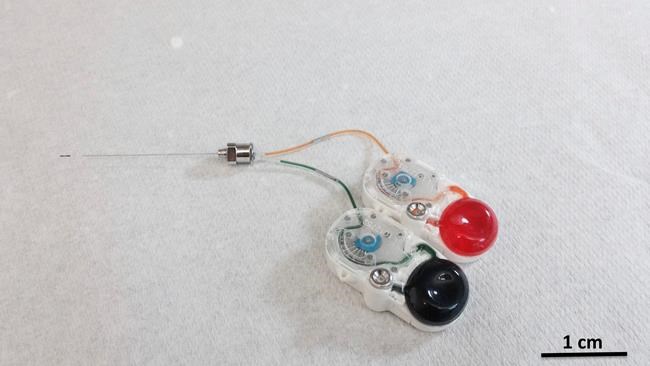 Tiny implant opens way to deliver drugs deep into the brain | iNFOnews.ca Tiny implant opens way to deliver drugs deep into the brain | iNFOnews.ca