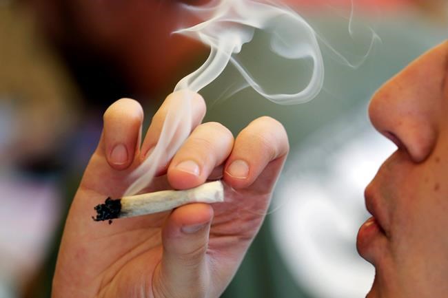 Teen odds of using marijuana dip with recreational use laws | iNFOnews.ca