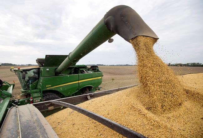Trump's tariff hike menaces strong economy | iNFOnews.ca