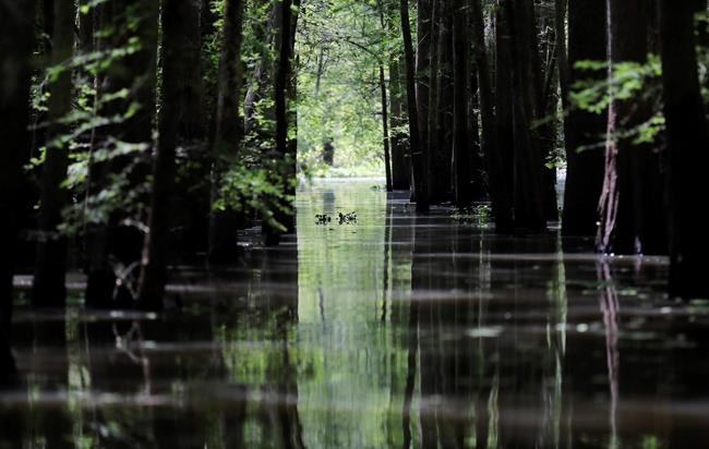 Company plans to finish Louisiana oil pipeline by October | iNFOnews.ca Company plans to finish Louisiana oil pipeline by October | iNFOnews.ca