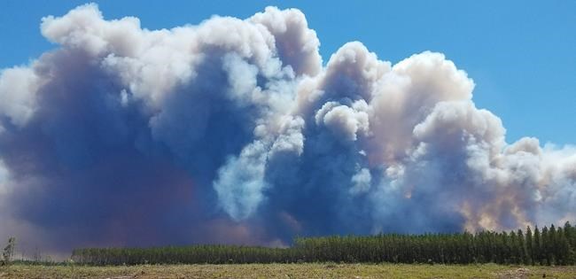 Georgia wildfire: evacuations ordered though many stay put | iNFOnews.ca Georgia wildfire: evacuations ordered though many stay put | iNFOnews.ca