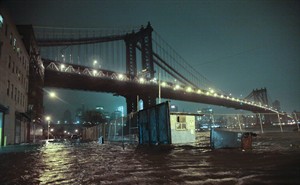 CP20590250