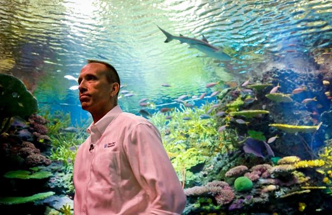 Sandy-ravaged aquarium opens splashy new shark exhibit | iNFOnews.ca Sandy-ravaged aquarium opens splashy new shark exhibit | iNFOnews.ca