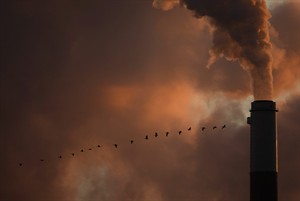 Ahead of UN summit on climate change, businesses are pressing for market-based solutions | iNFOnews.ca CP29996430