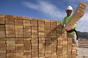 US builders began work on fewer houses in November, partly because of Superstorm Sandy | iNFOnews.ca CP21274179