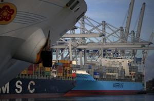CP27495156