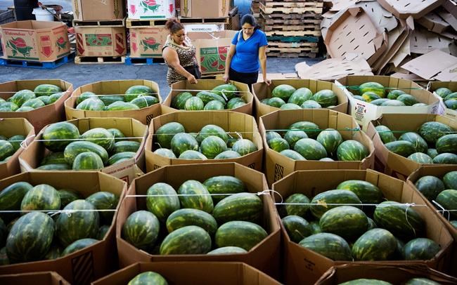 US wholesale inventories up 0.1 per cent in May | iNFOnews.ca US wholesale inventories up 0.1 per cent in May | iNFOnews.ca