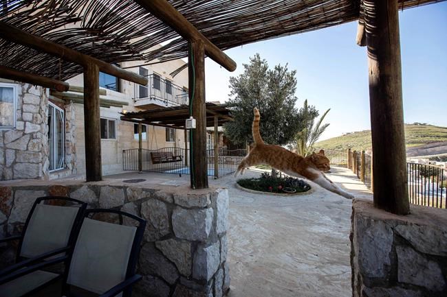 Airbnb reverses, will allow listings in Israeli settlements | iNFOnews.ca