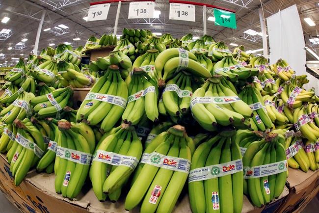Feb wholesale prices up 0.2 pct; inflation nips producers | iNFOnews.ca