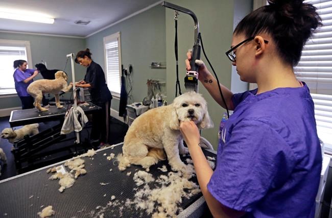 US productivity shrinks again in first quarter | iNFOnews.ca