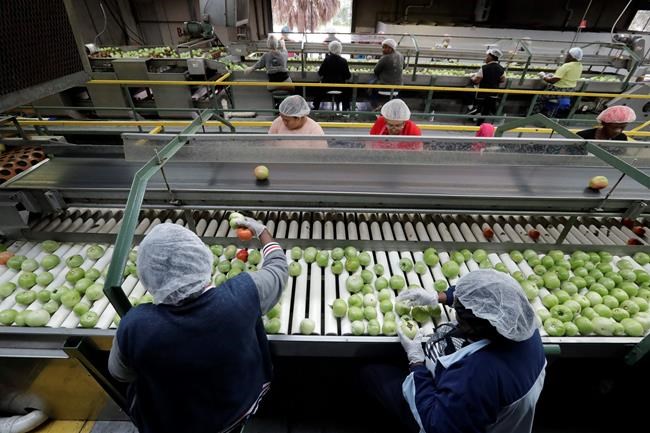 US wholesale prices up 0.5% in January, most since late 2018 | iNFOnews.ca CP336989874