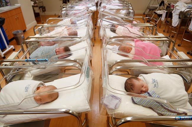 Has your newborn's identity already been stolen? | iNFOnews.ca