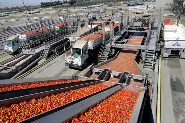US wholesale prices jump, but underlying pressures look tame | iNFOnews.ca US wholesale prices jump, but underlying pressures look tame | iNFOnews.ca