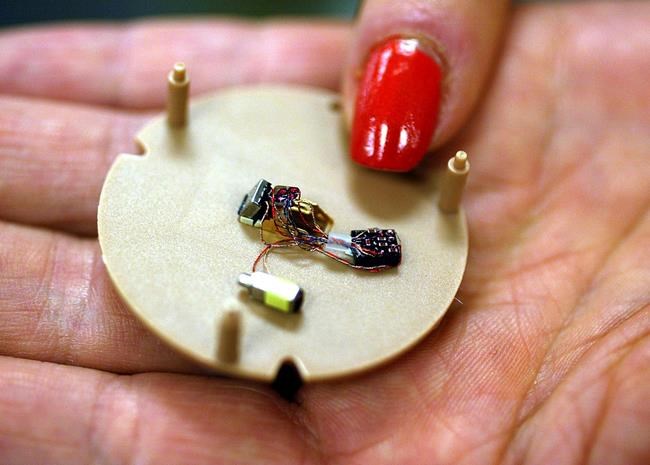 Artificial intelligence's rise exposes gaping gender gap | iNFOnews.ca Artificial intelligence's rise exposes gaping gender gap | iNFOnews.ca