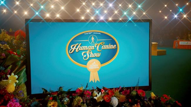 Super Bowl ads heavy on humour, surprises and ... robots | iNFOnews.ca