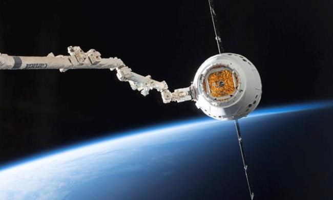 SpaceX delivers 'mighty mice,' worms, robot to space station | iNFOnews.ca