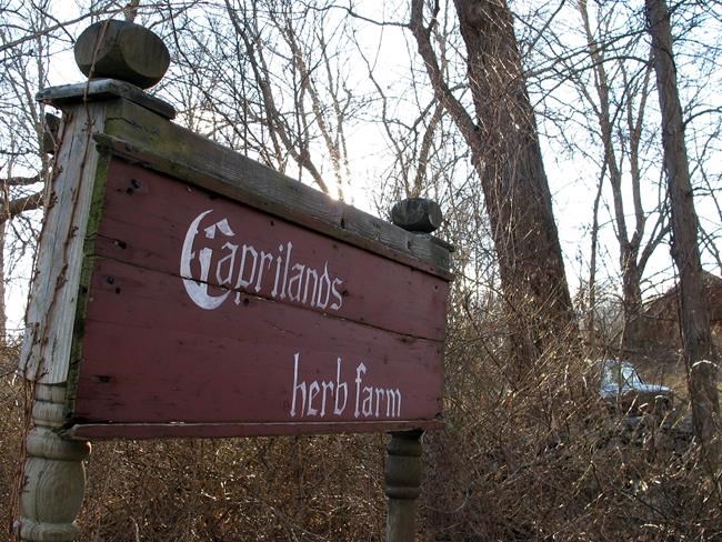 Judge orders herbalist's widower to pay $294,000 | iNFOnews.ca Judge orders herbalist's widower to pay $294,000 | iNFOnews.ca