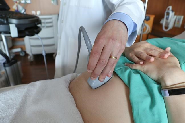 Study finds air pollution reaches placenta during pregnancy | iNFOnews.ca