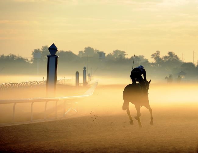 Race track settles with feds for manure, urine discharges | iNFOnews.ca