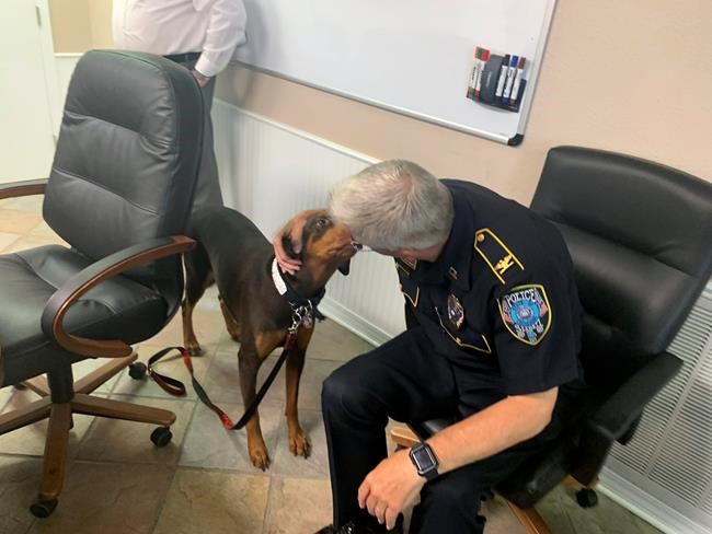 Police: Man caught on camera choking ex-girlfriend's dog | iNFOnews.ca