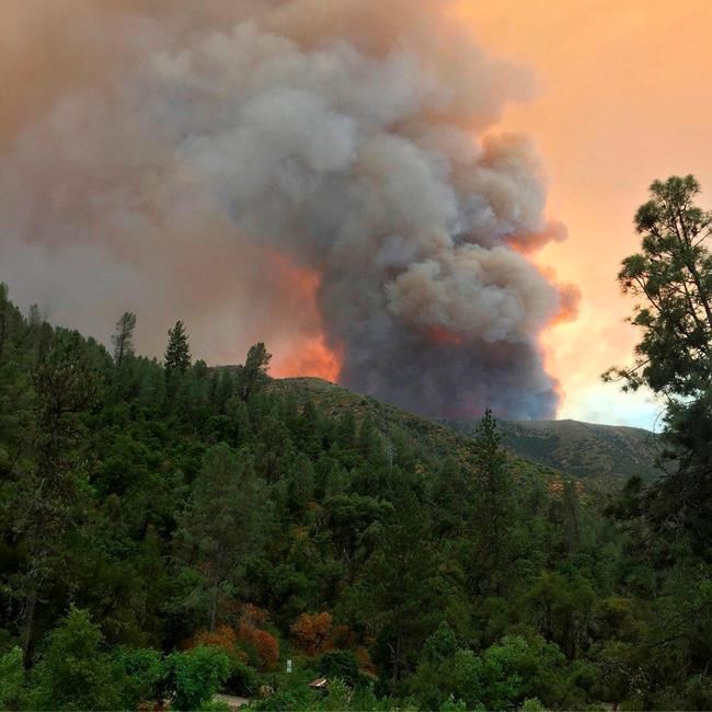 Deadly fire shuts down key route to Yosemite National Park | iNFOnews.ca