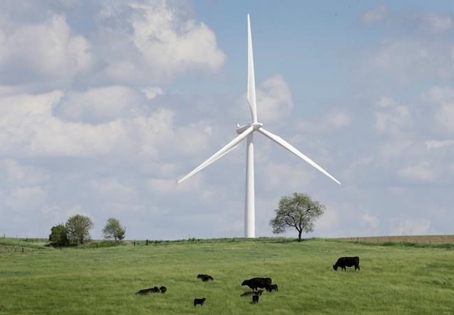 Trump's putdown of wind energy whips up a backlash in Iowa | iNFOnews.ca