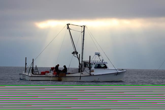 Lawsuit: EPA fails to enforce Chesapeake Bay pollution caps | iNFOnews.ca