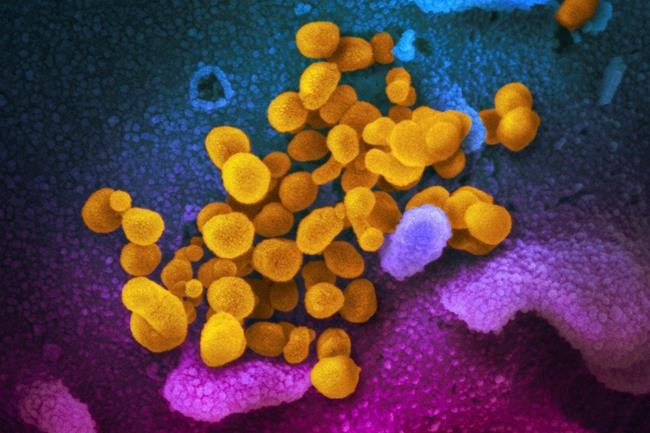CDC alerts doctors to COVID-19 linked condition in children | iNFOnews.ca