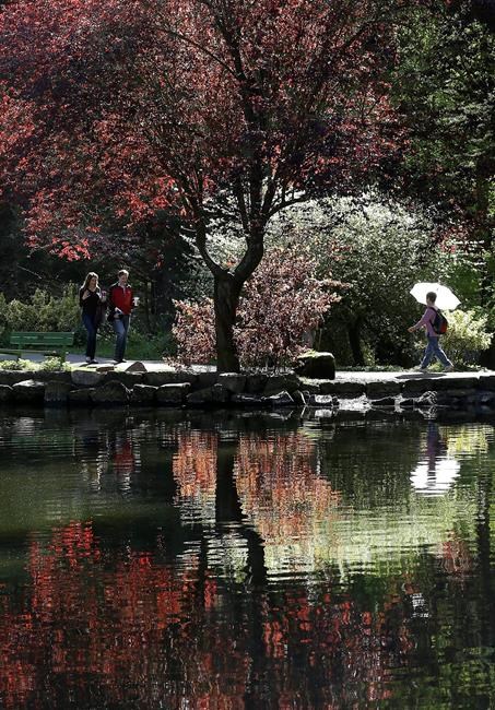 San Francisco park's 150th birthday celebration goes online | iNFOnews.ca