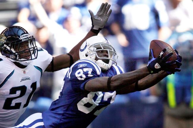 Polamalu, Wayne, Willis 1st year eligible for Hall of Fame | iNFOnews.ca Polamalu, Wayne, Willis 1st year eligible for Hall of Fame | iNFOnews.ca