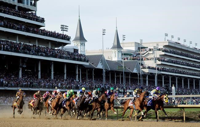 Horse racing leaders move to set national safety standards | iNFOnews.ca