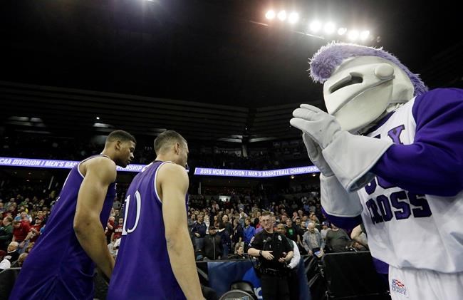 Holy Cross drops knight image despite keeping Crusaders name | iNFOnews.ca