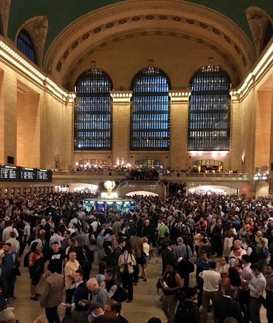 Girl killed when tree topples onto car during storm | iNFOnews.ca