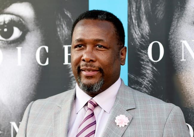 Police: Actor Wendell Pierce upset by politics, hits woman | iNFOnews.ca CP897887480