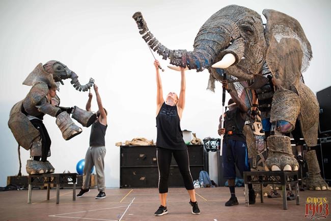 New show 'Circus 1903' brings back live elephants, sort of | iNFOnews.ca
