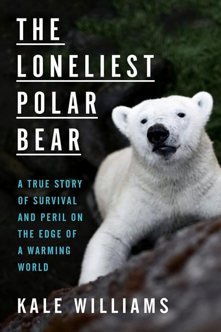 Review: A bear's life tells the history of global warming | iNFOnews.ca