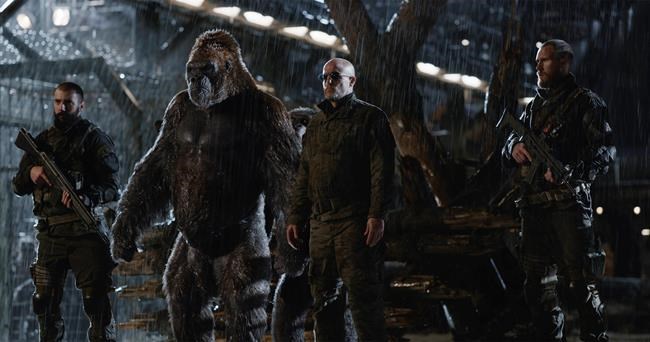 Review: A thrilling epic in 'War for the Planet of the Apes' | iNFOnews.ca Review: A thrilling epic in 'War for the Planet of the Apes' | iNFOnews.ca