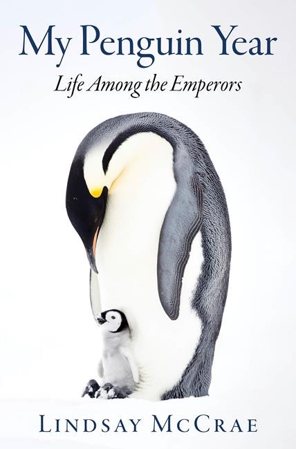 'My Penguin Year' works best as companion to nature series | iNFOnews.ca 'My Penguin Year' works best as companion to nature series | iNFOnews.ca