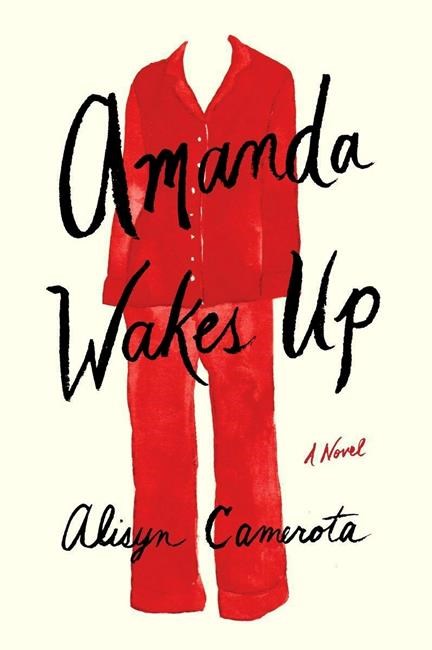 Novel takes energetic look at life of ambitious news anchor | iNFOnews.ca