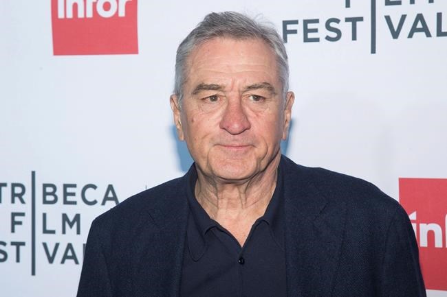 In this US election year, celebrities take their gloves off | iNFOnews.ca